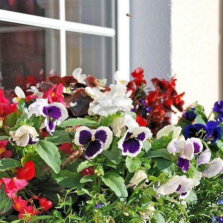 Lemongrove House Panzió Enniscorthy Kültér fotó