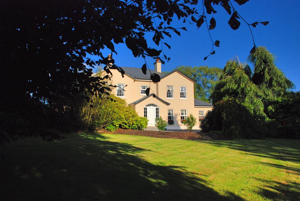 Lemongrove House Panzió Enniscorthy Kültér fotó